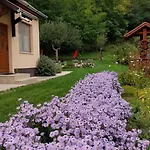 Faluvegi Vendeghaz بيت للعطل *