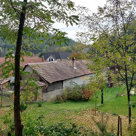 Faluvegi Vendeghaz
