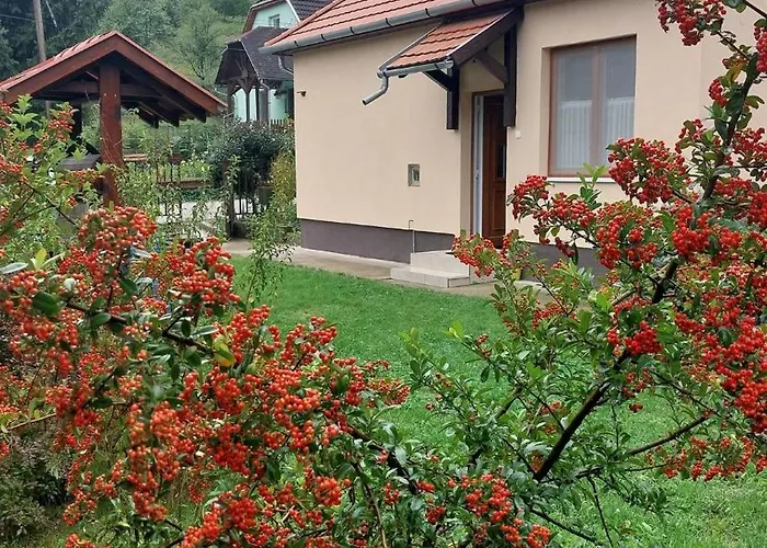 Faluvegi Vendeghaz