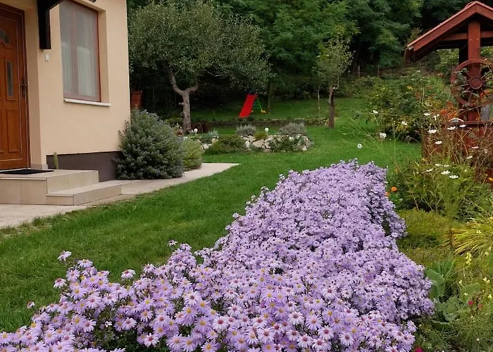 Faluvegi Vendeghaz Holiday home *