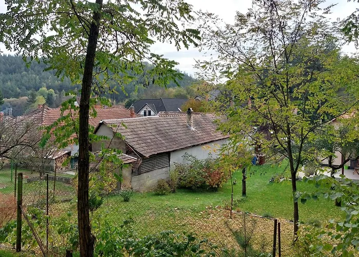 Faluvegi Vendeghaz