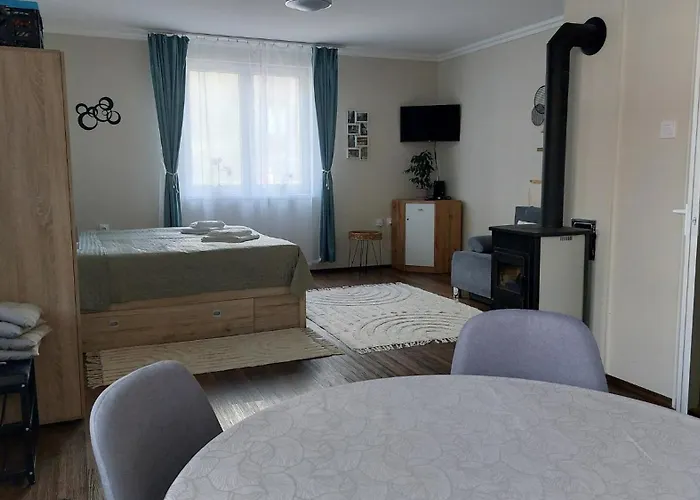 Faluvegi Vendeghaz Holiday home *